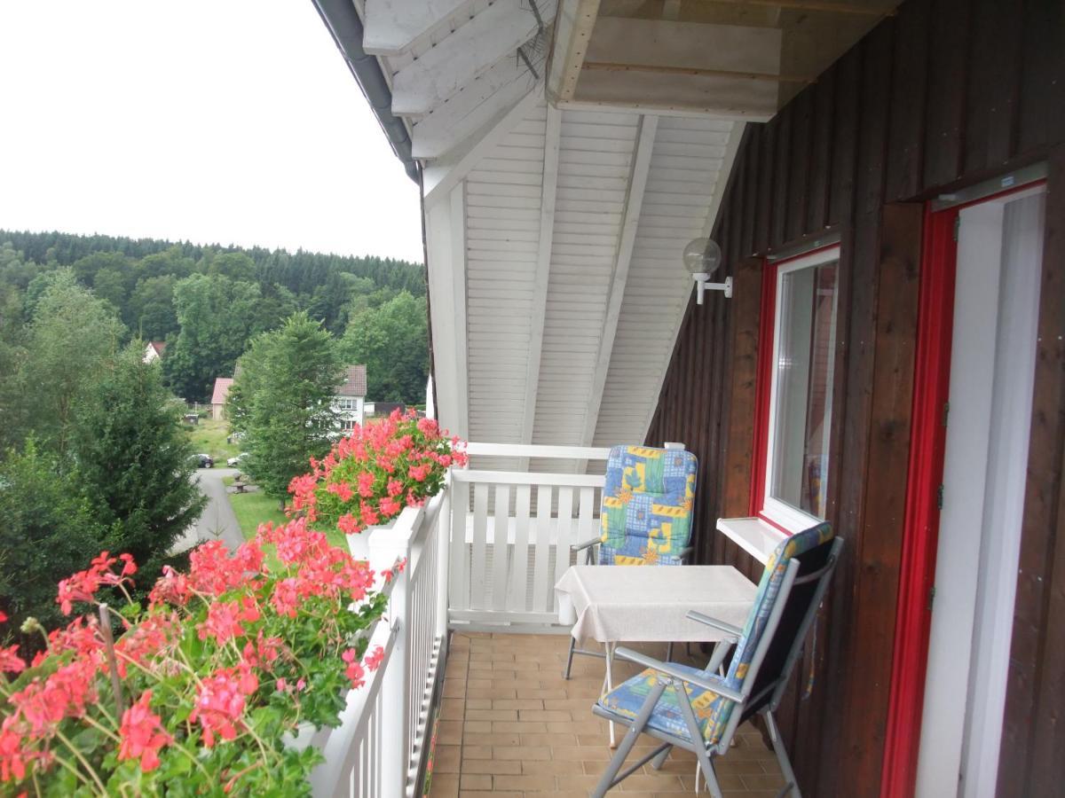 Ferienhaus Hubertus In Elend Mit Balkons ภายนอก รูปภาพ